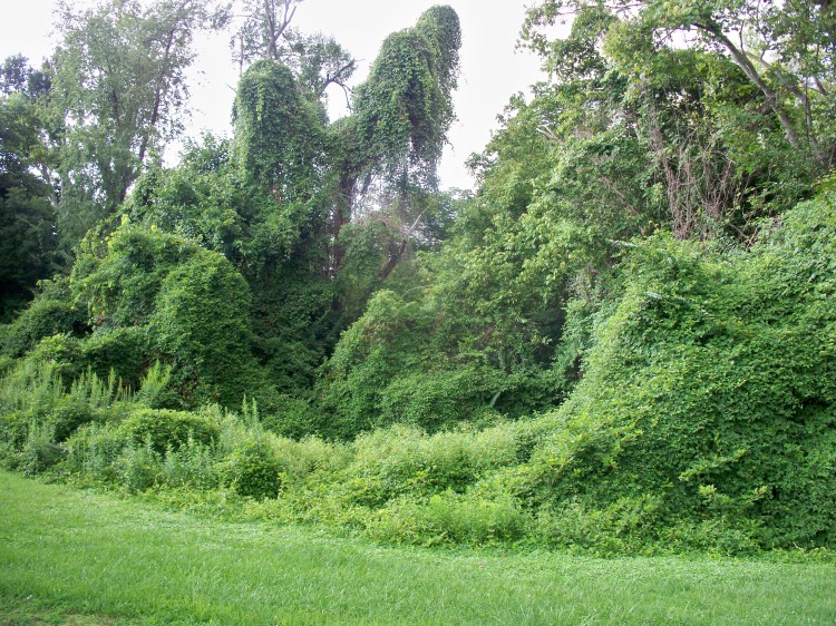 This image has an empty alt attribute; its file name is 100_4338.jpg