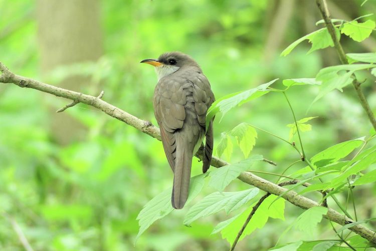 InkedInkedInkedInkedP1010181zzz_LI